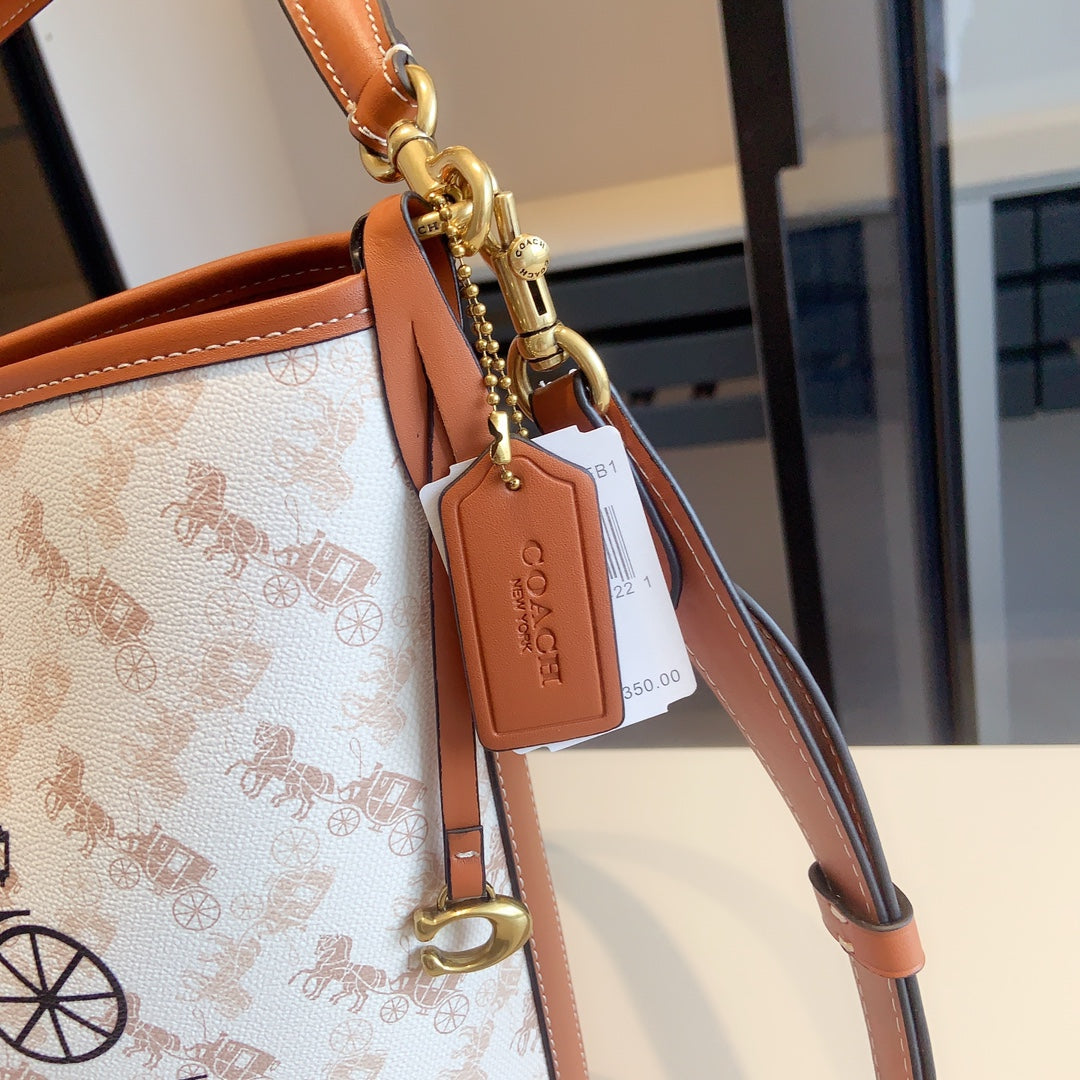 Co-BAG516