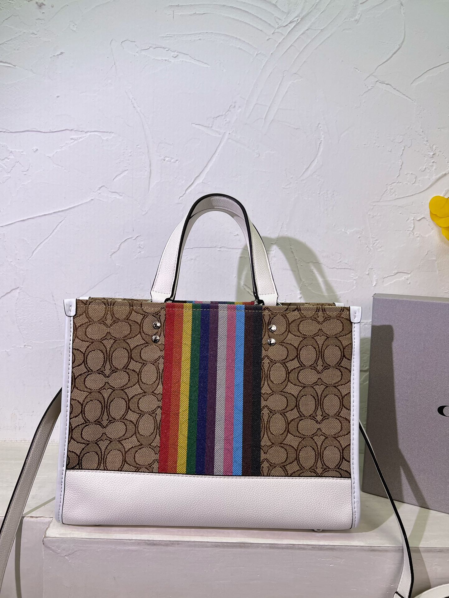 Co-BAG519-2