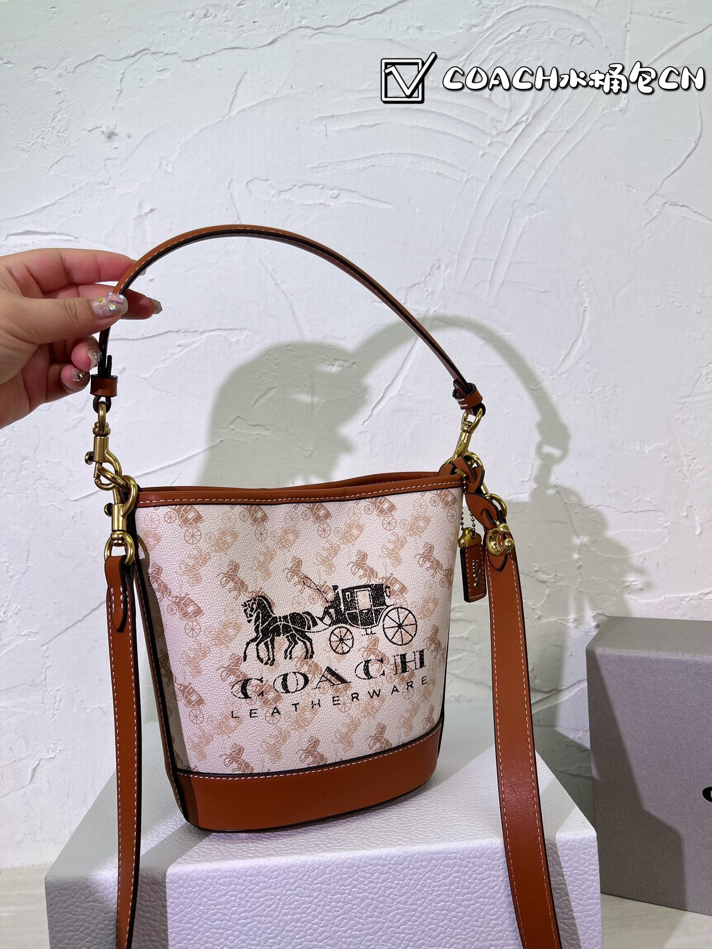 Co-BAG536