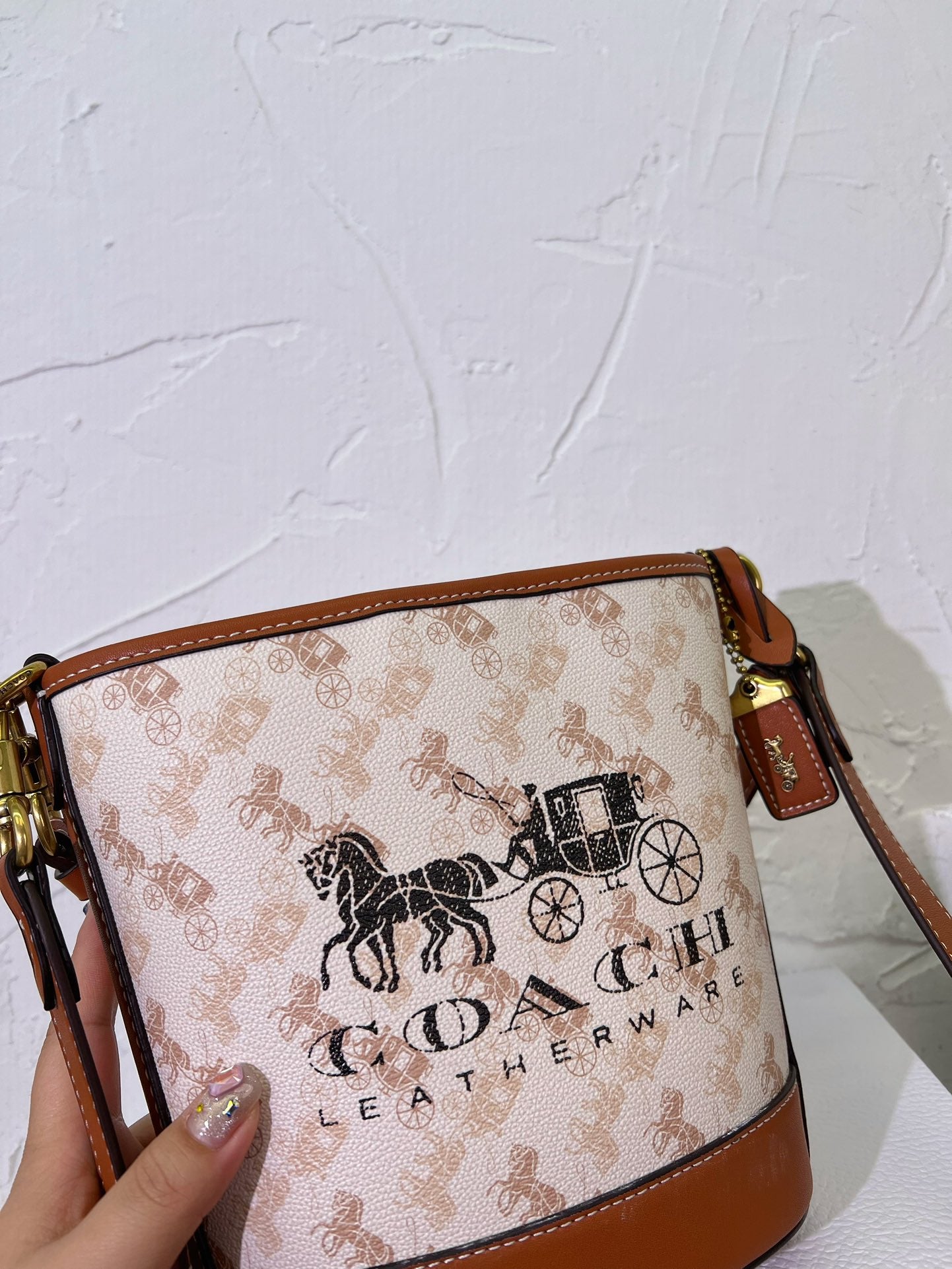 Co-BAG536