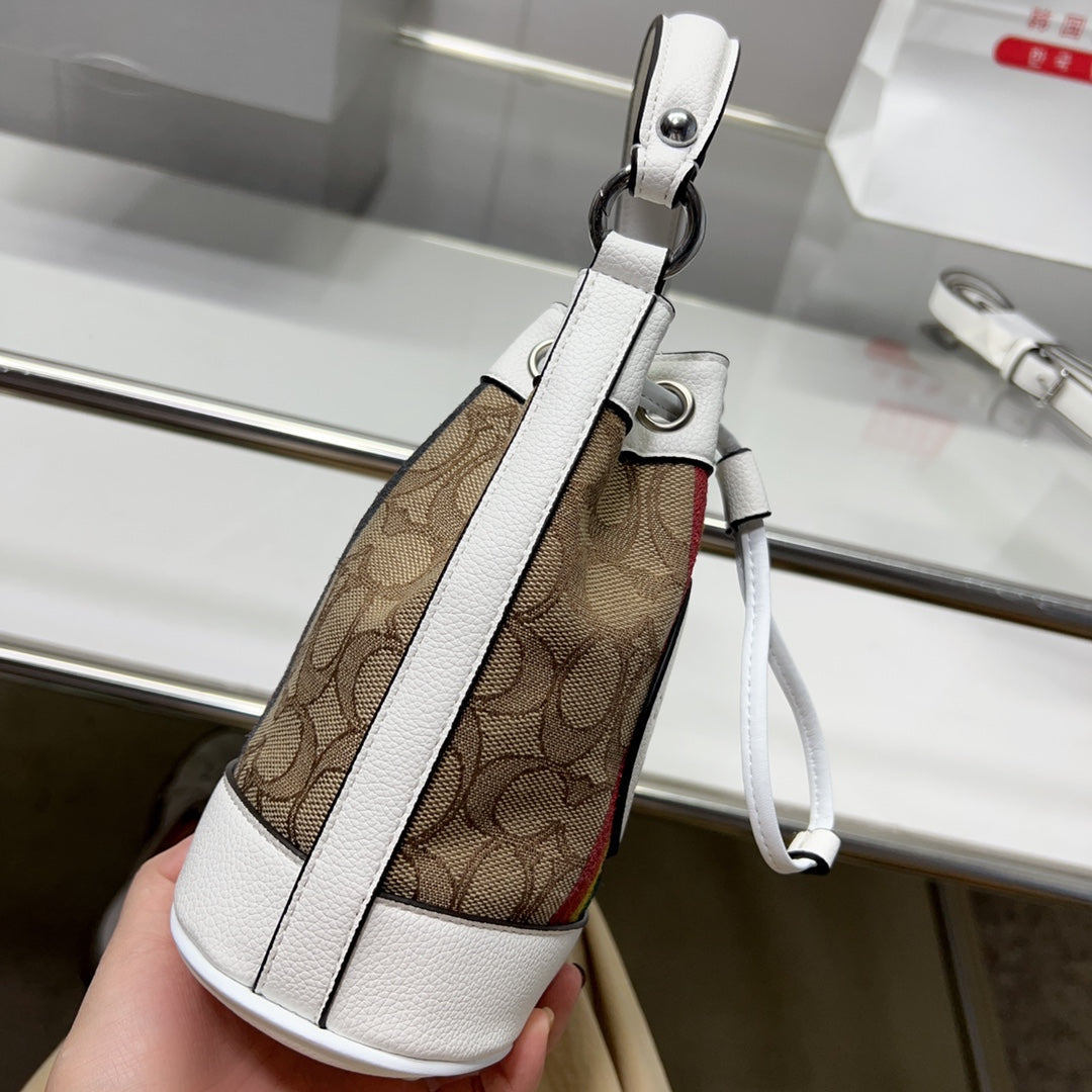 Co-BAG538