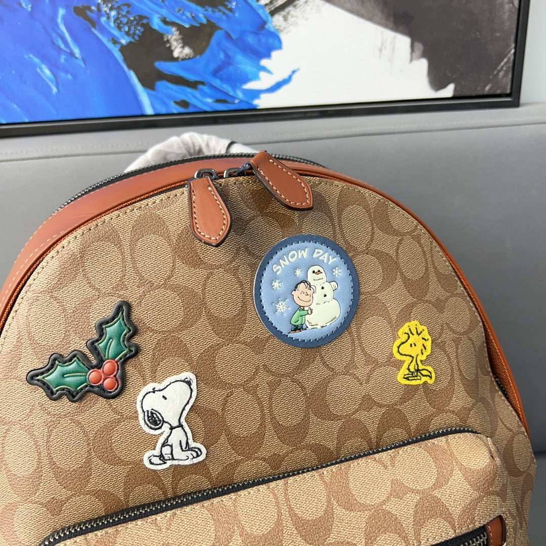 Co-BAG542