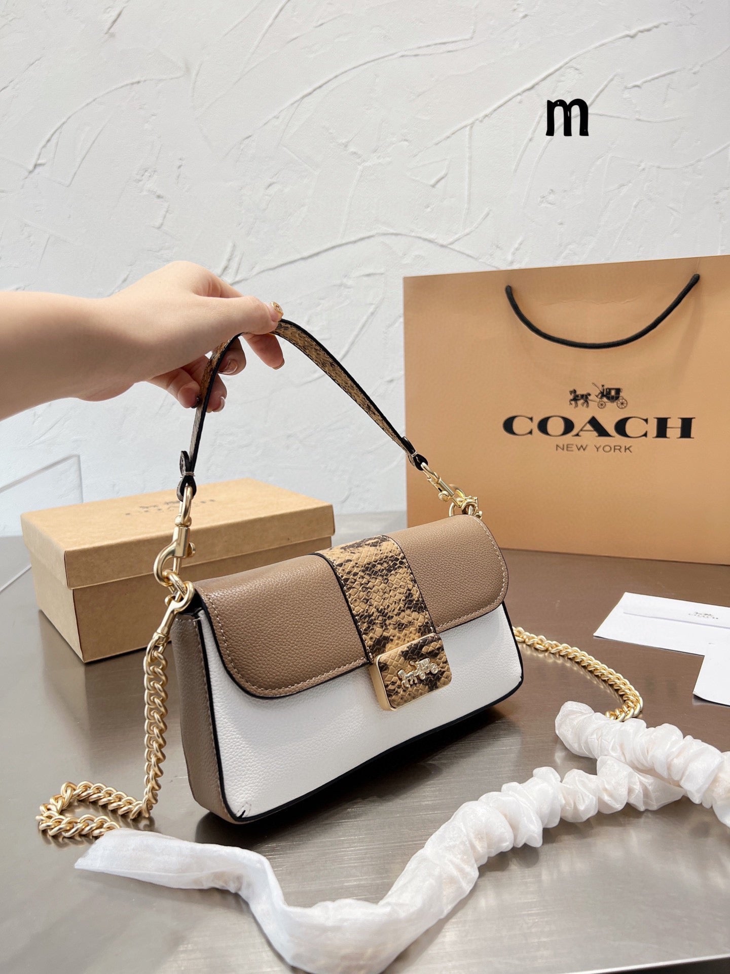 Co-BAG544