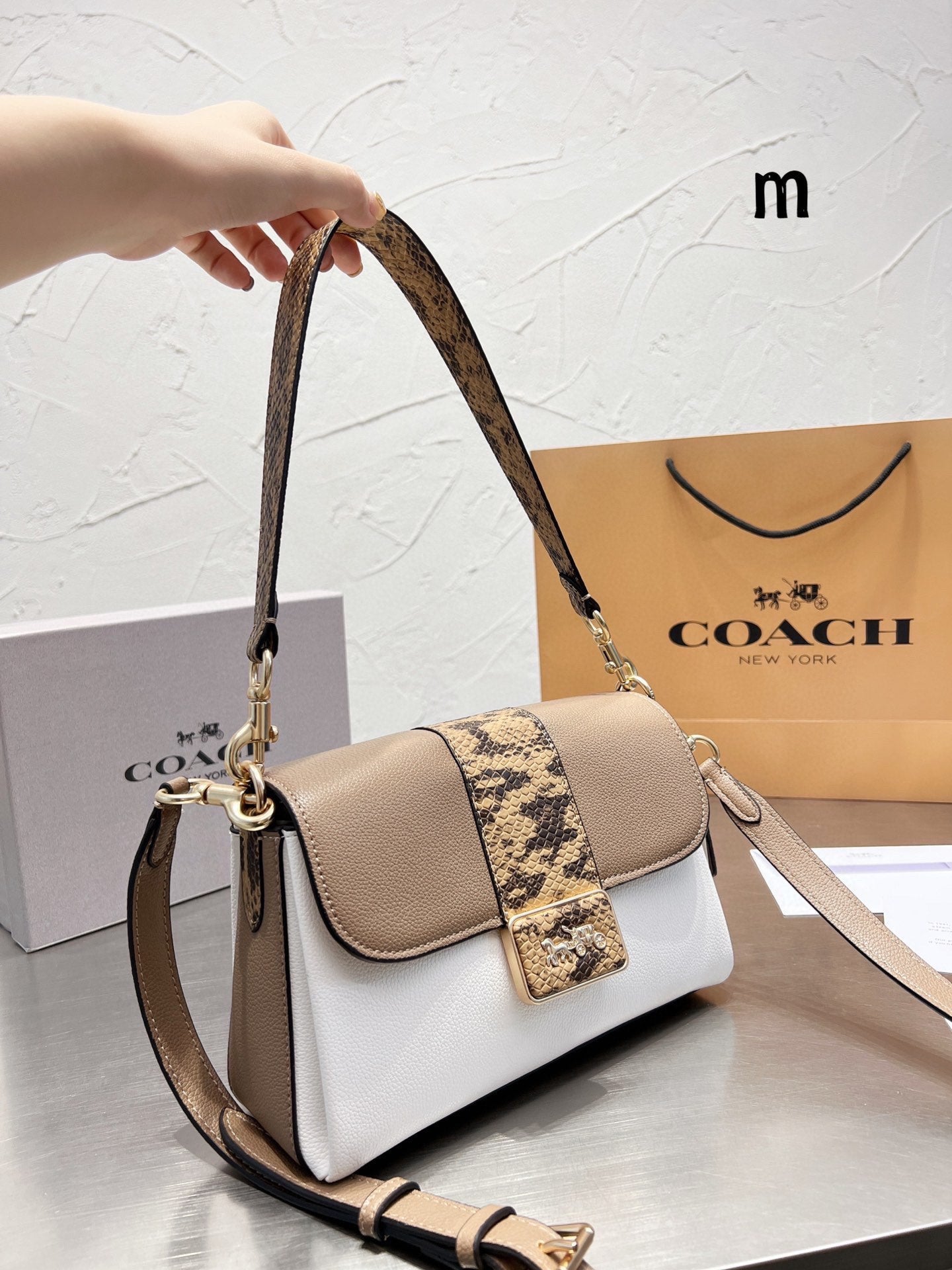 Co-BAG544-2