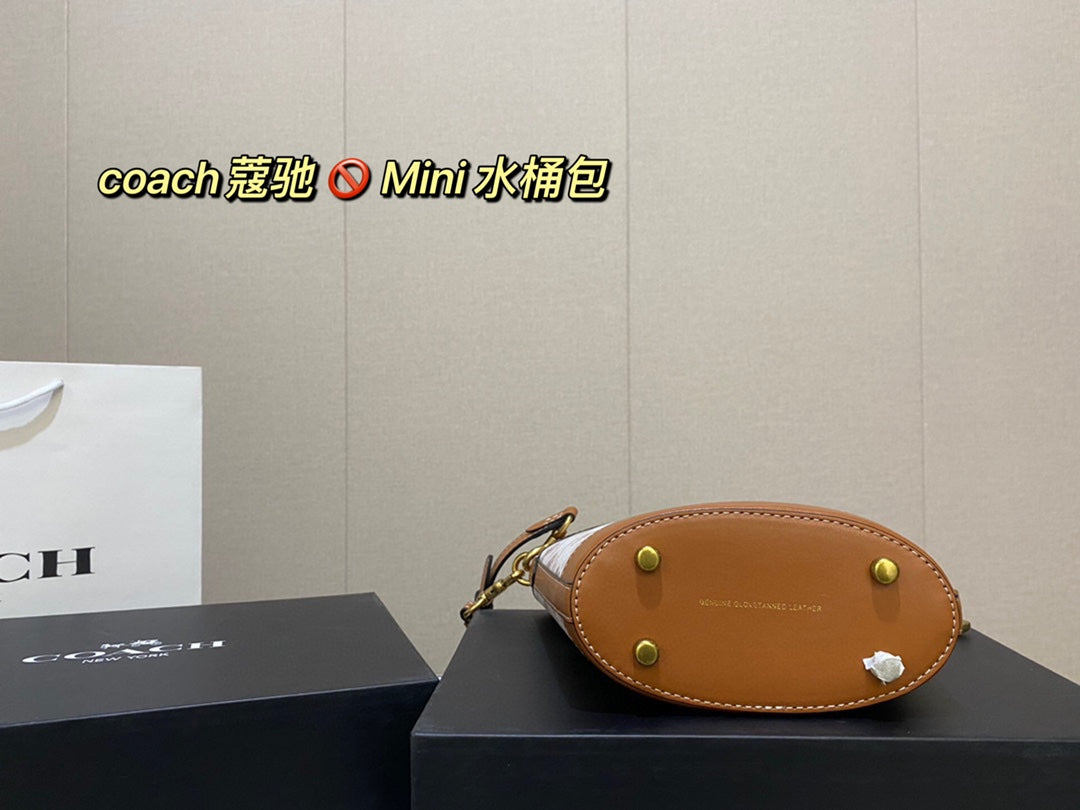 Co-BAG553