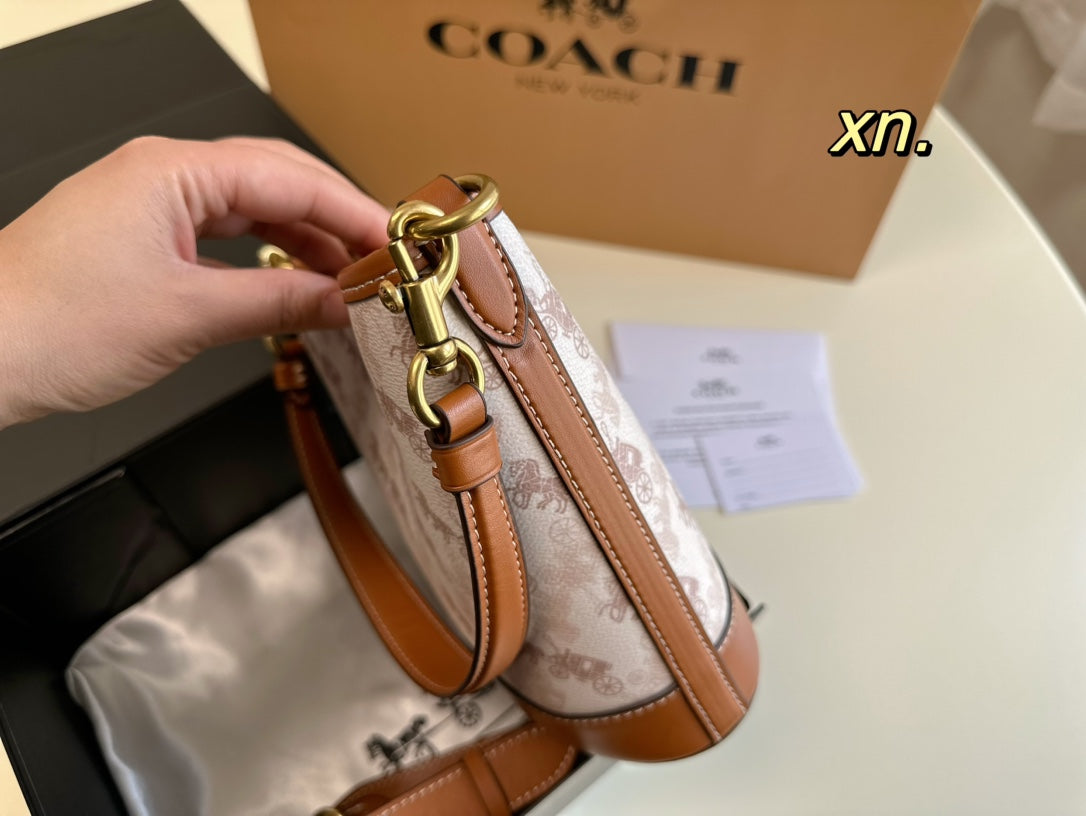 Co-BAG557
