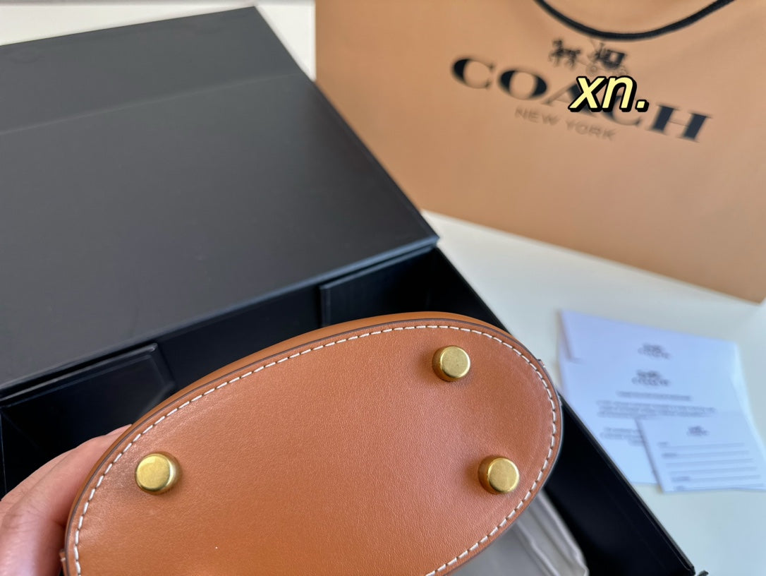 Co-BAG557