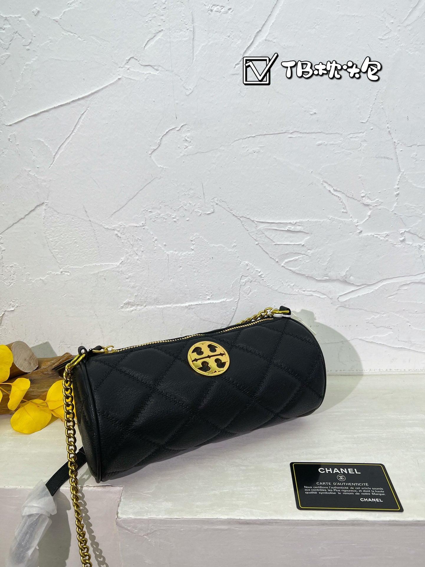 TB-234BAG