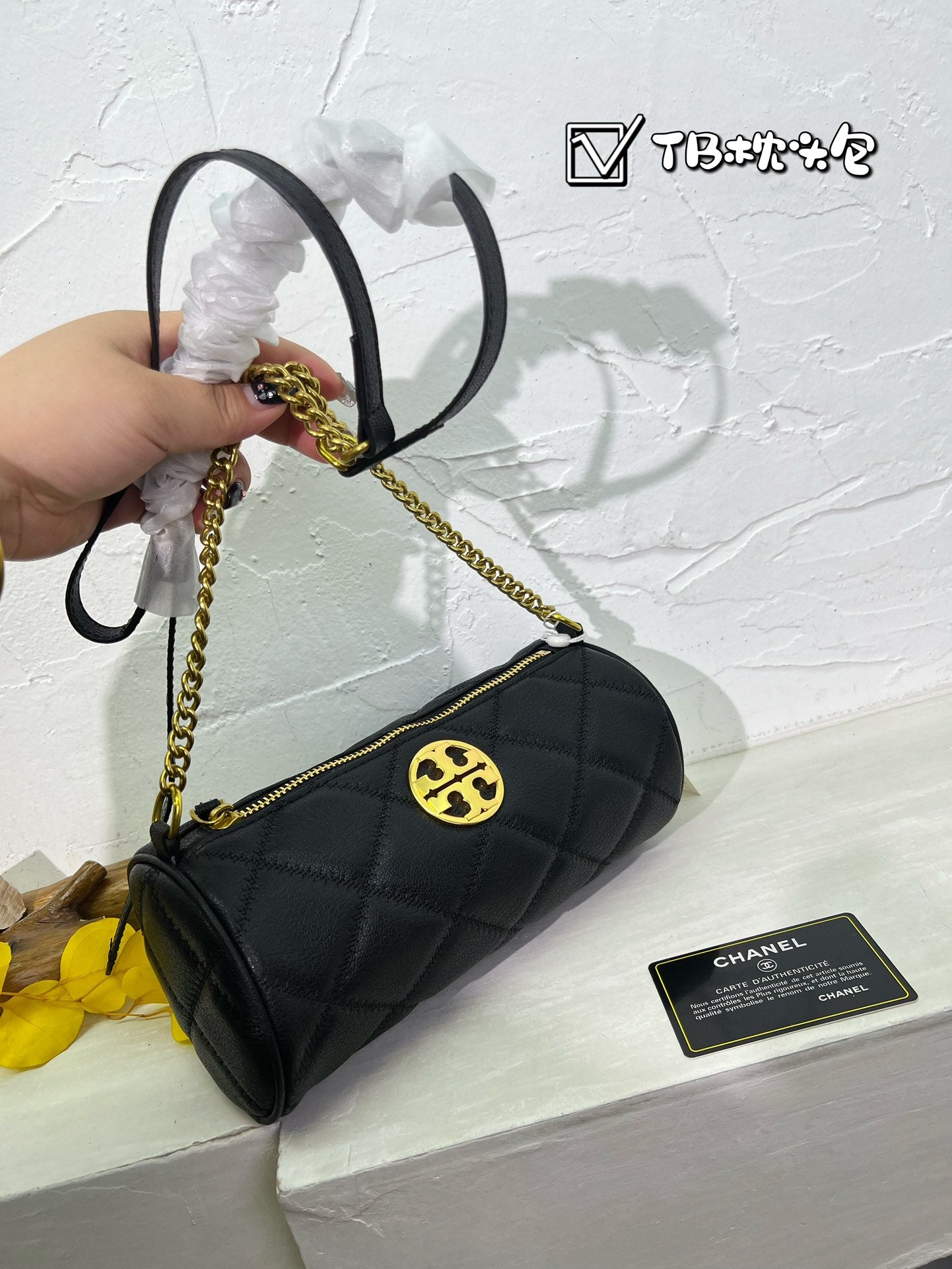 TB-234BAG
