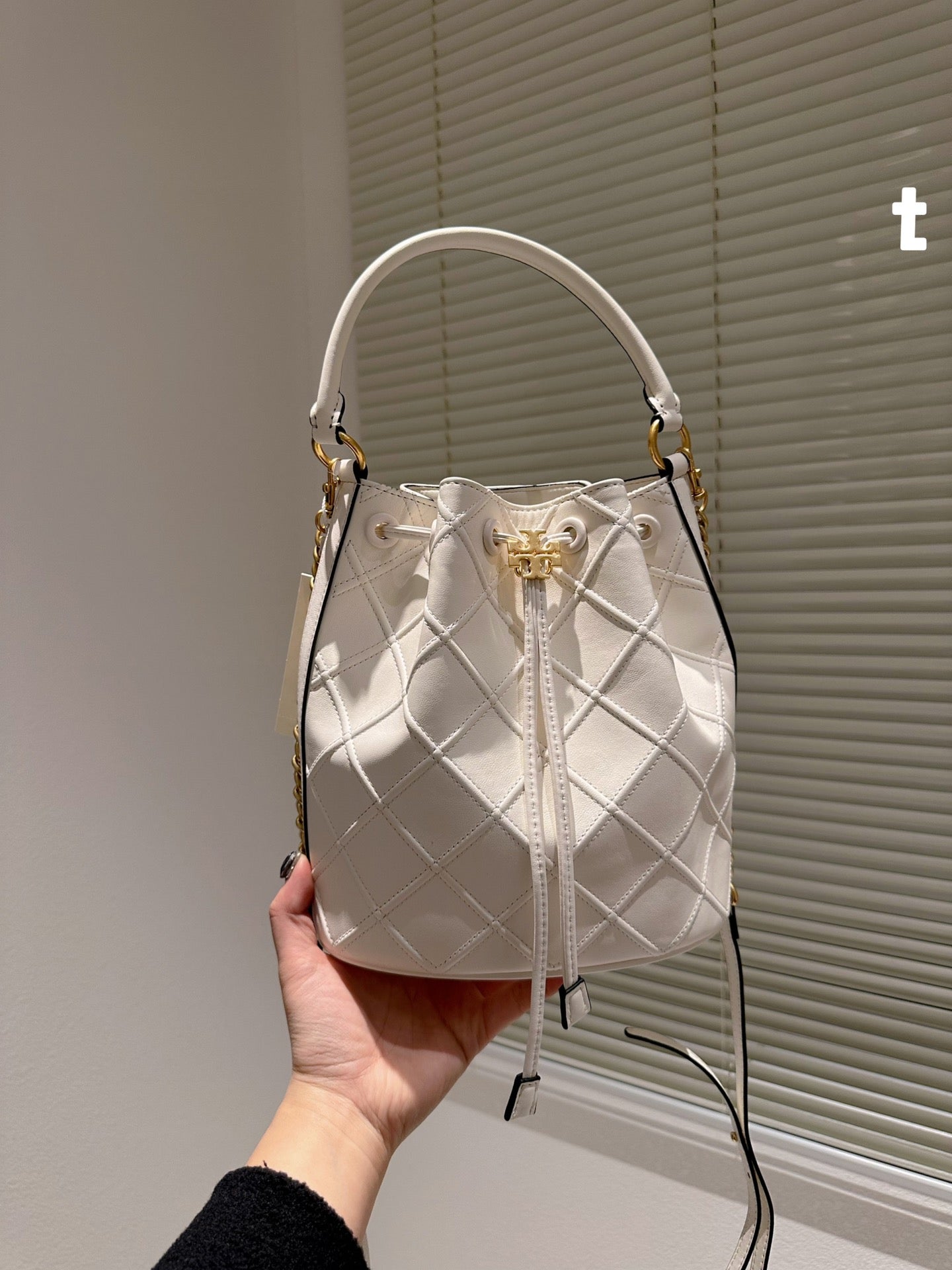 TB-245BAG