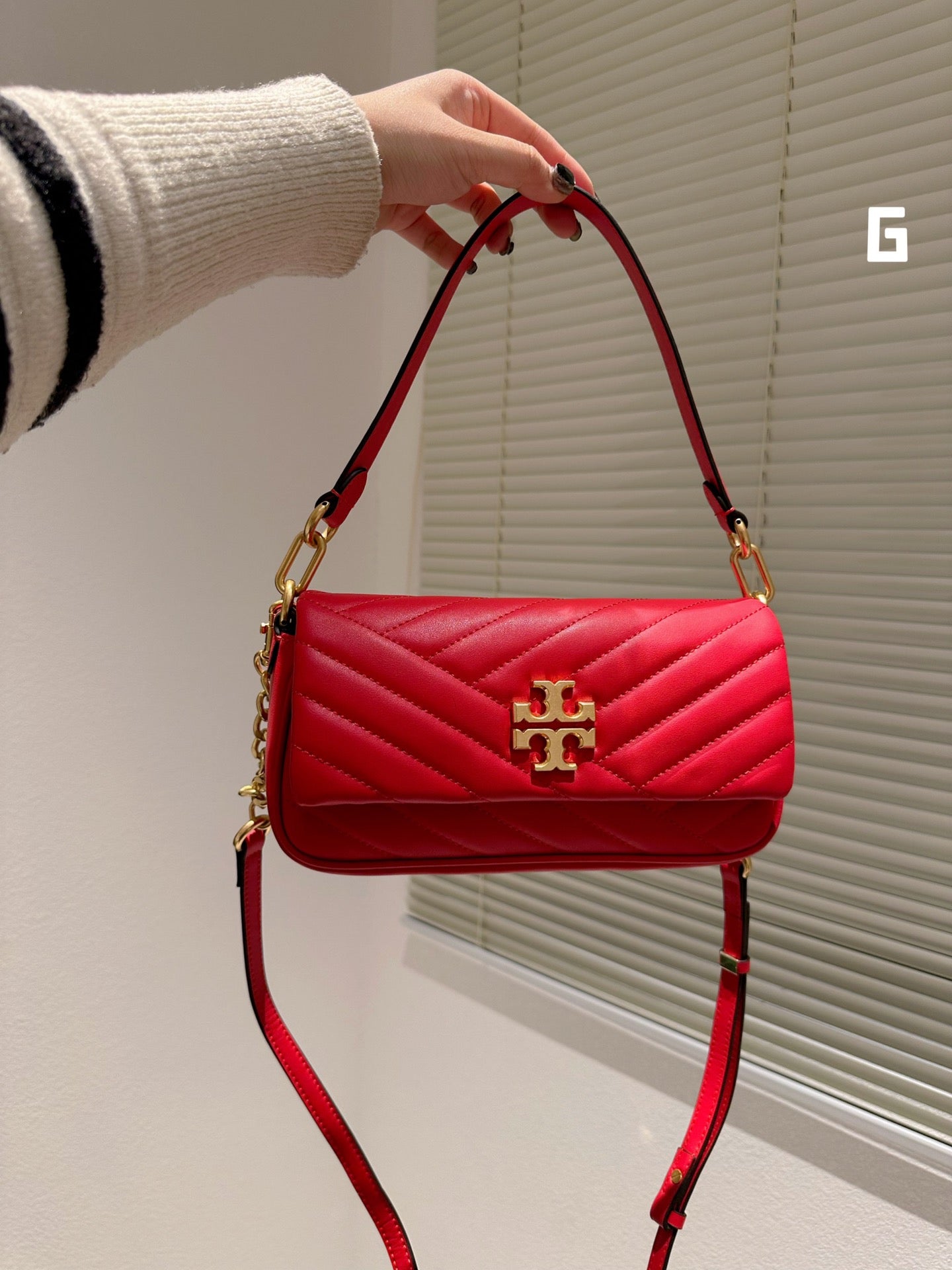 TB-251BAG