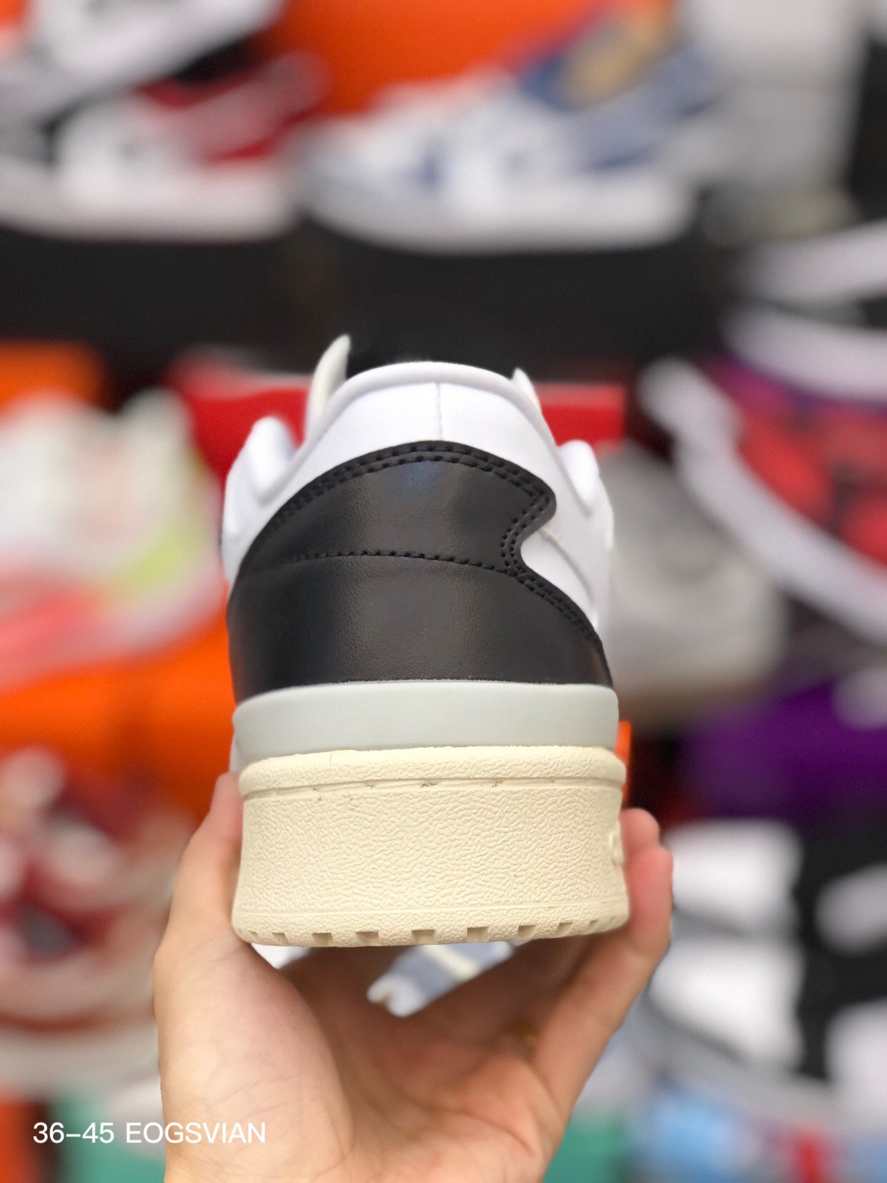 Adidas -005Shoes