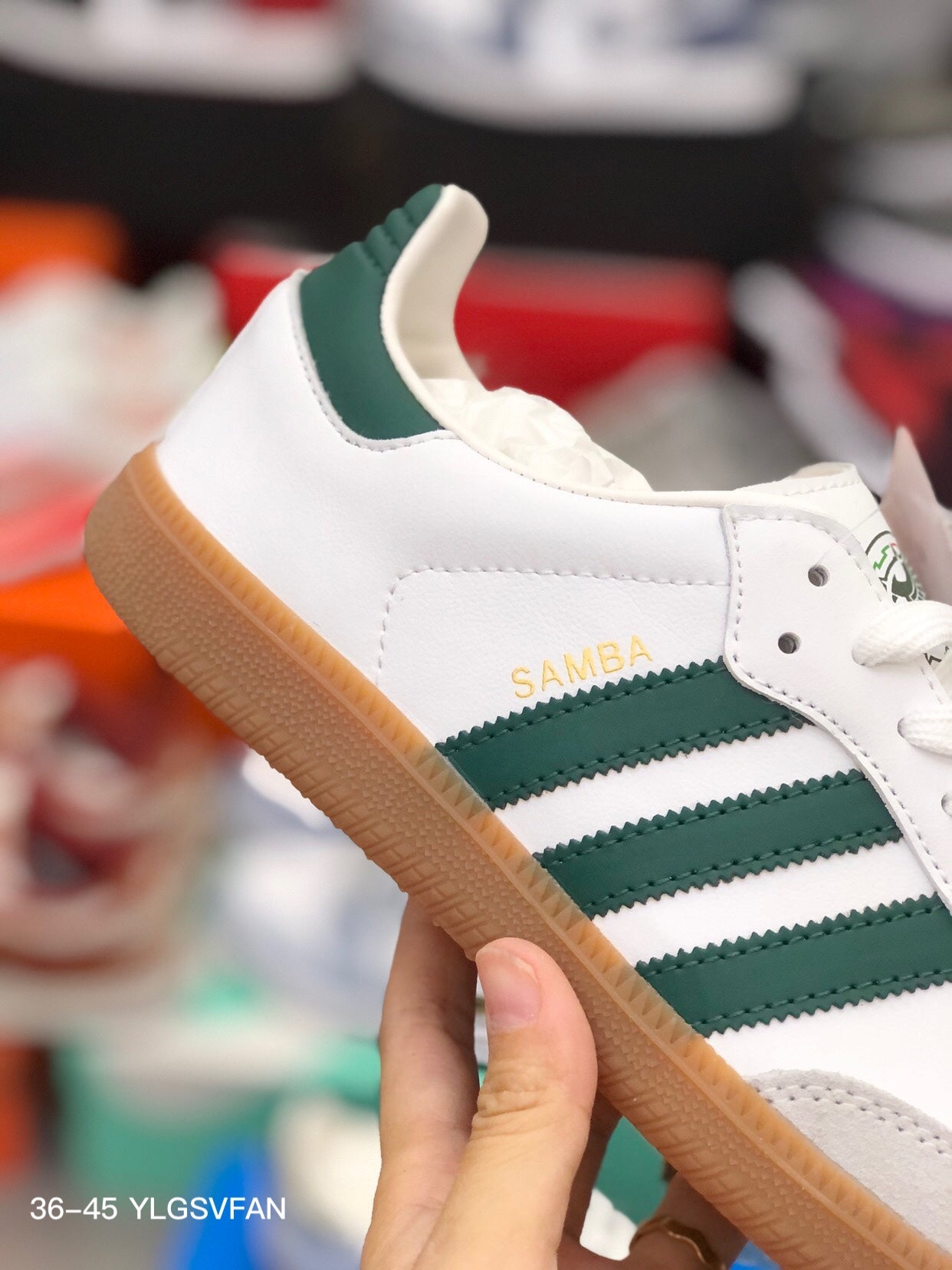 Adidas -003Shoes