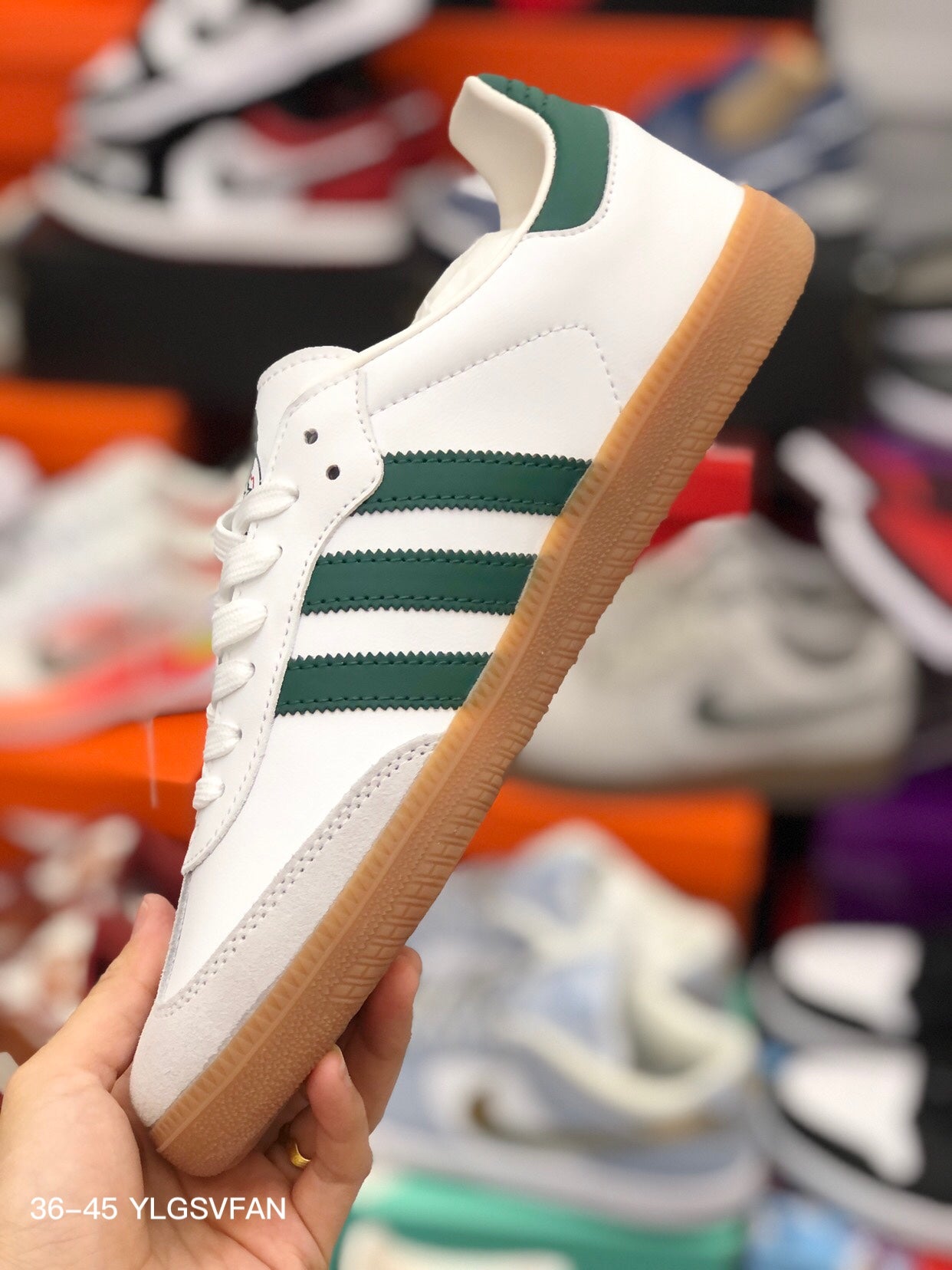 Adidas -003Shoes