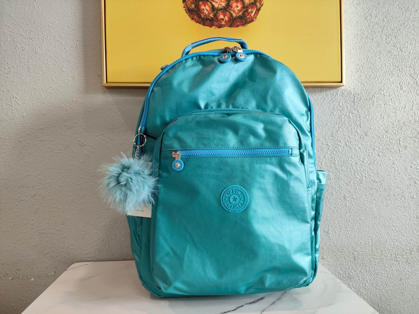 KIP BAG-214