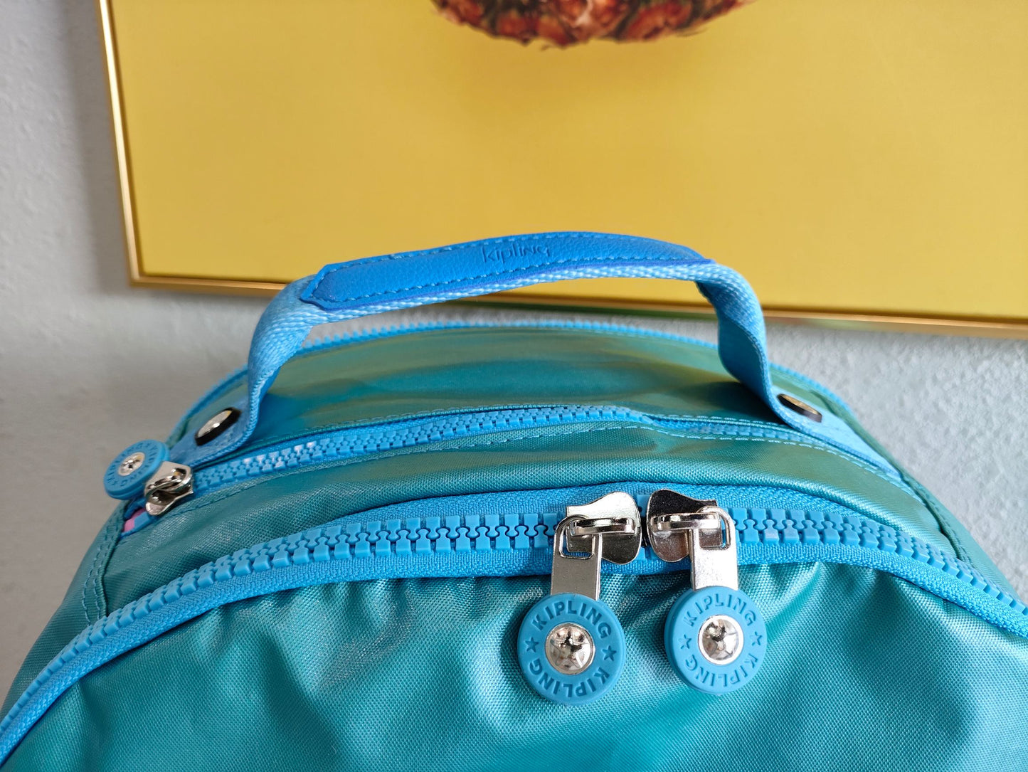KIP BAG-231