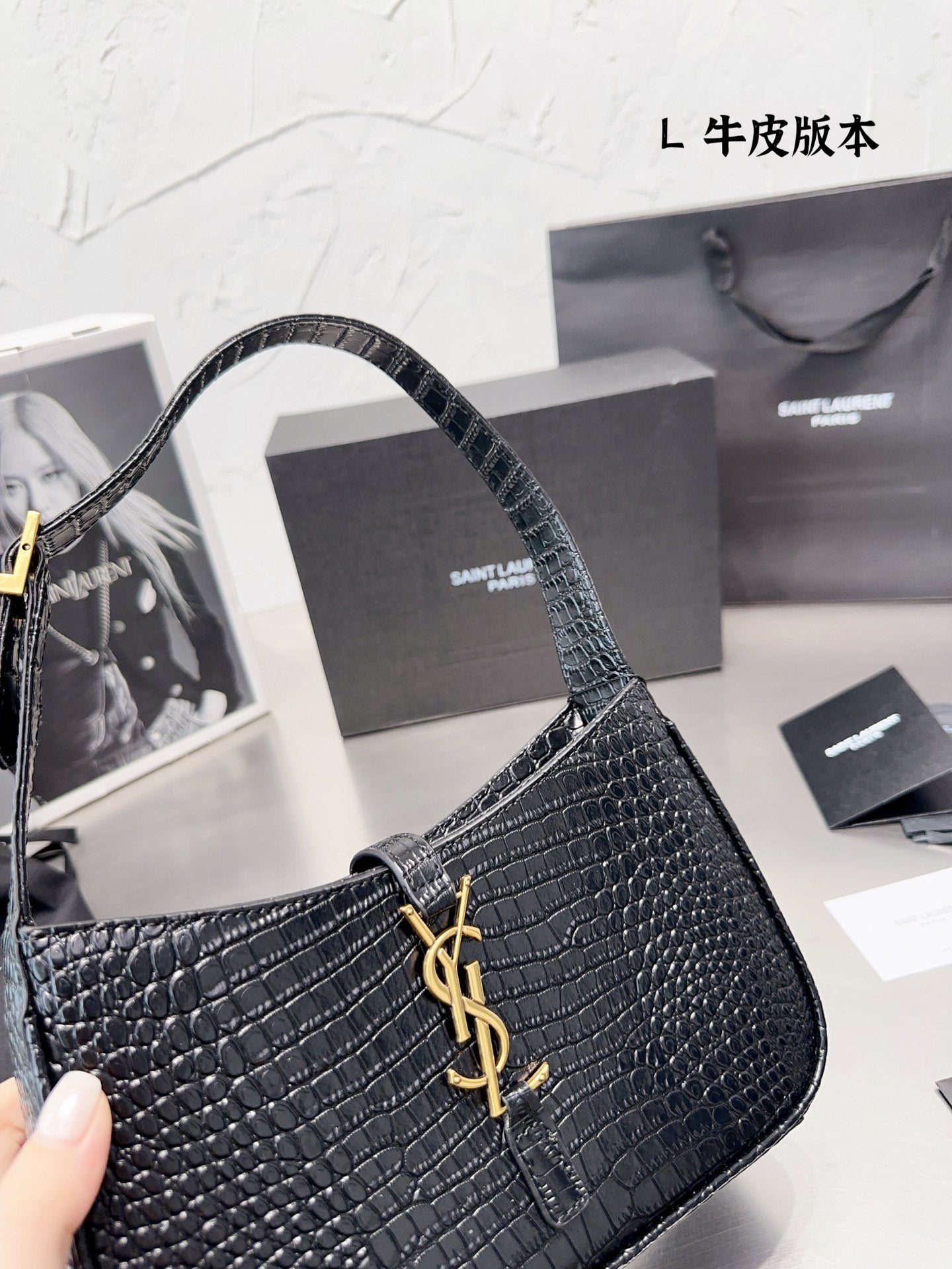TSL-BAG-211