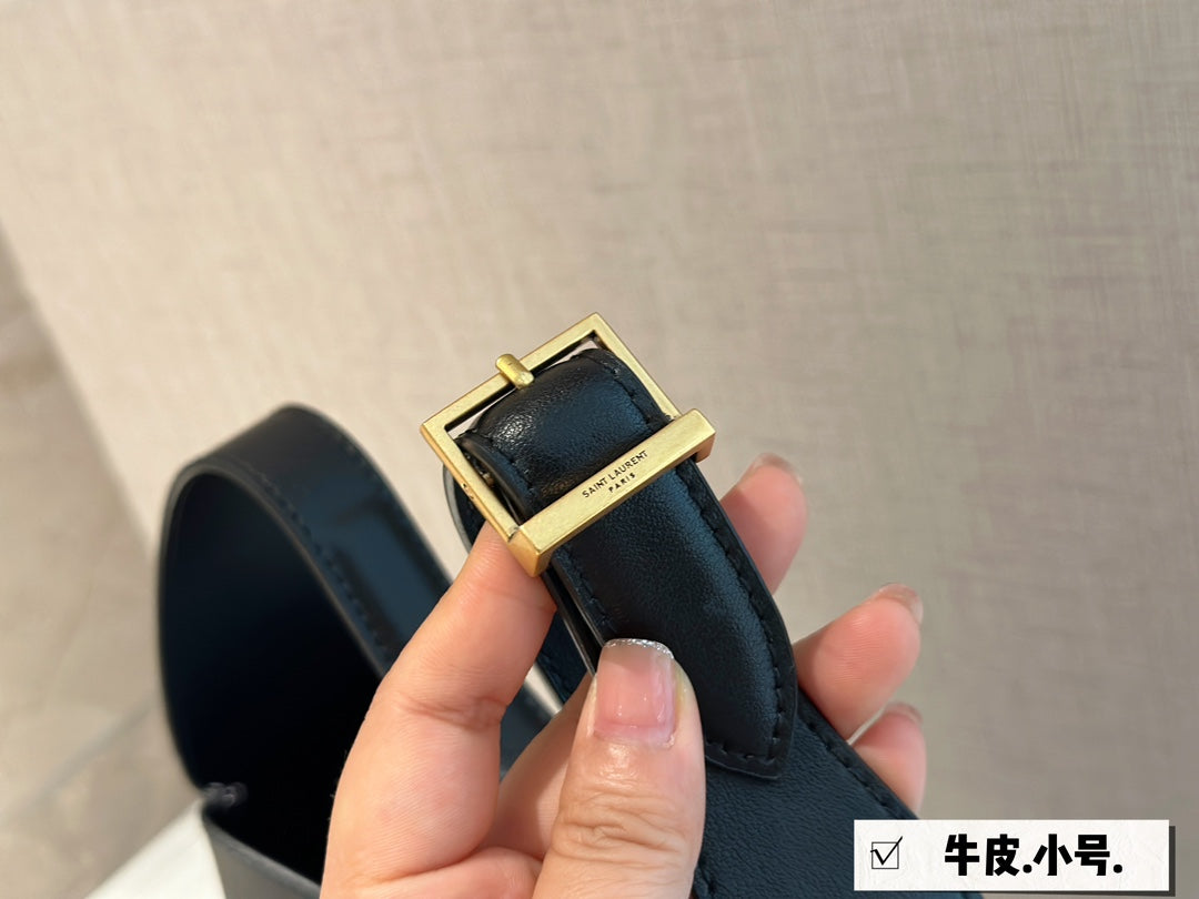 YSL-BAG-213