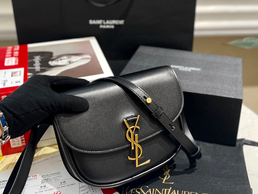 YSL-BAG-325-1