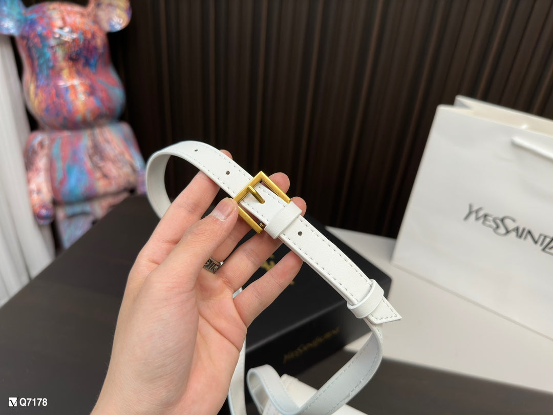 YSL-BAG-339