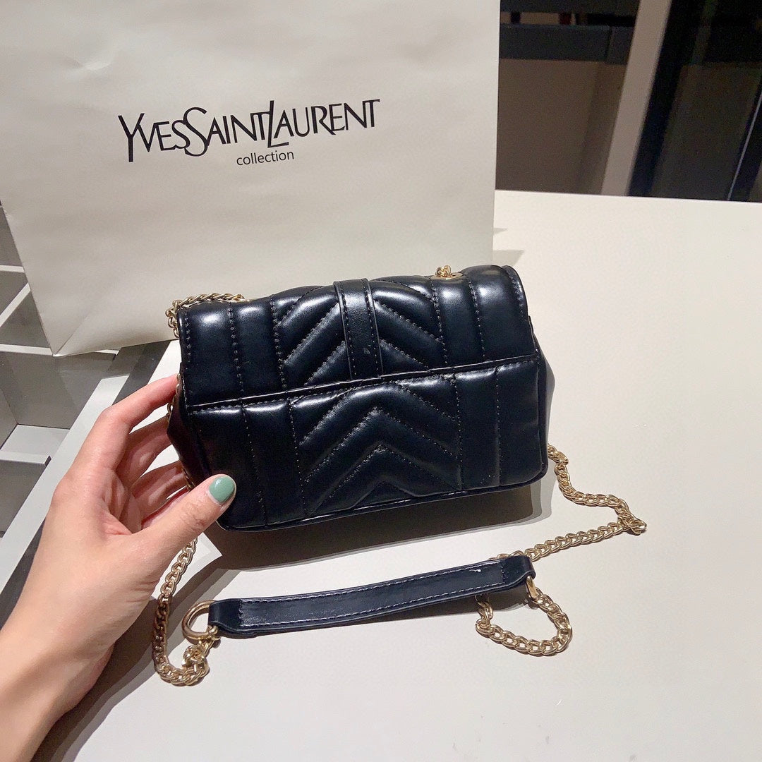 YSL-BAG-360-2