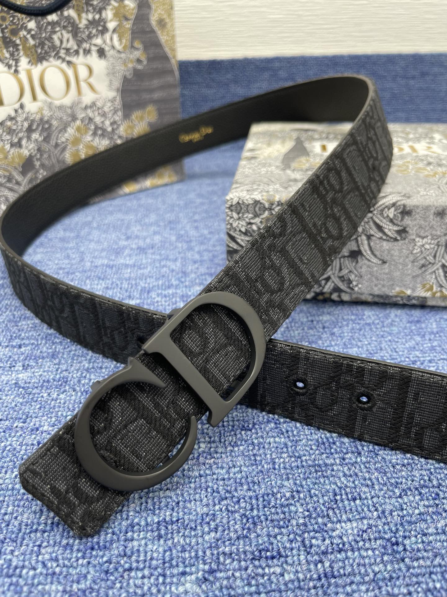 Belt-Dior-01