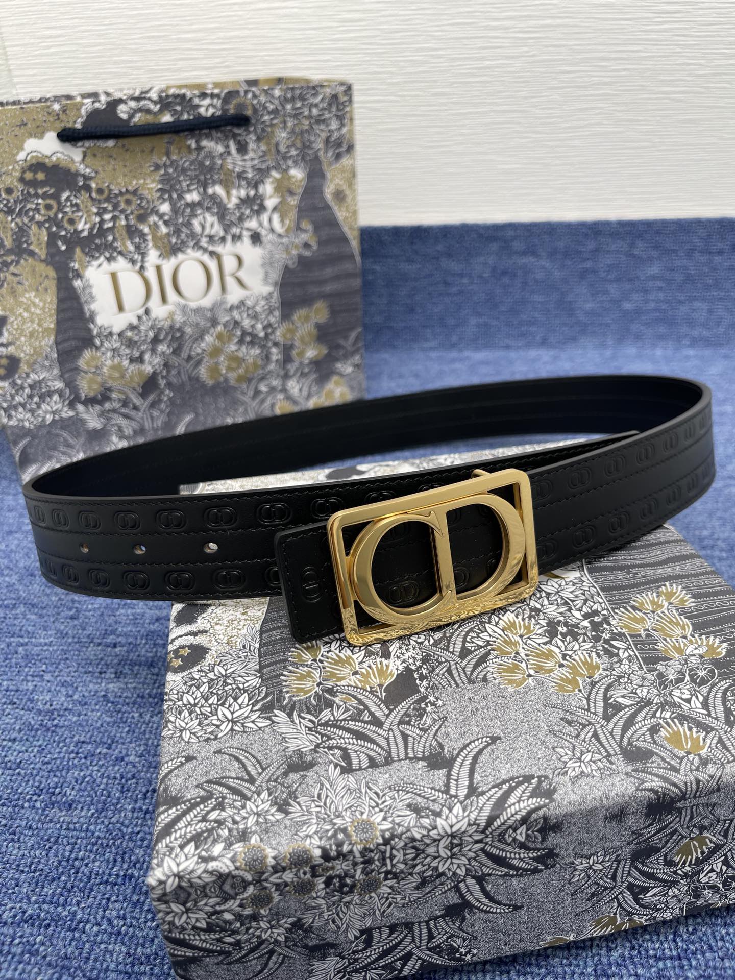 Belt-Dior-04