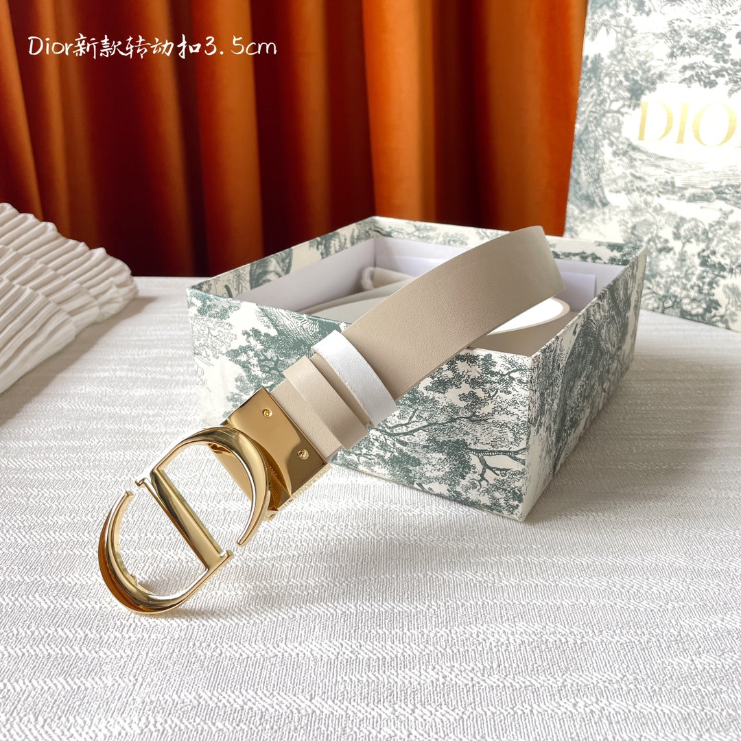 Belt-Dior-09