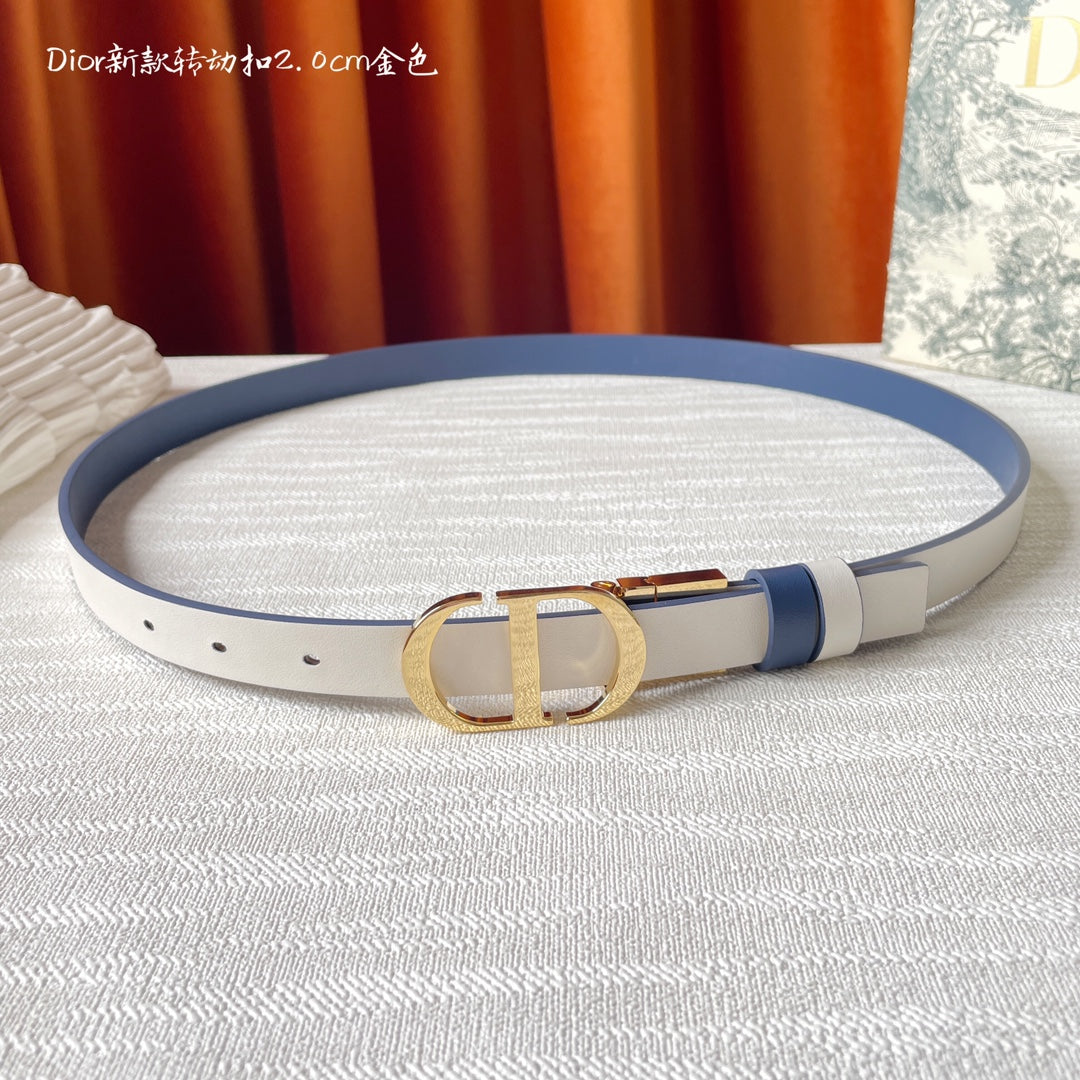 Belt-Dior-10