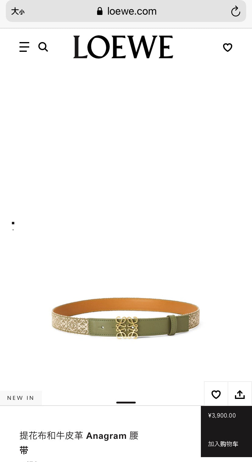 Belt-Loewe-03