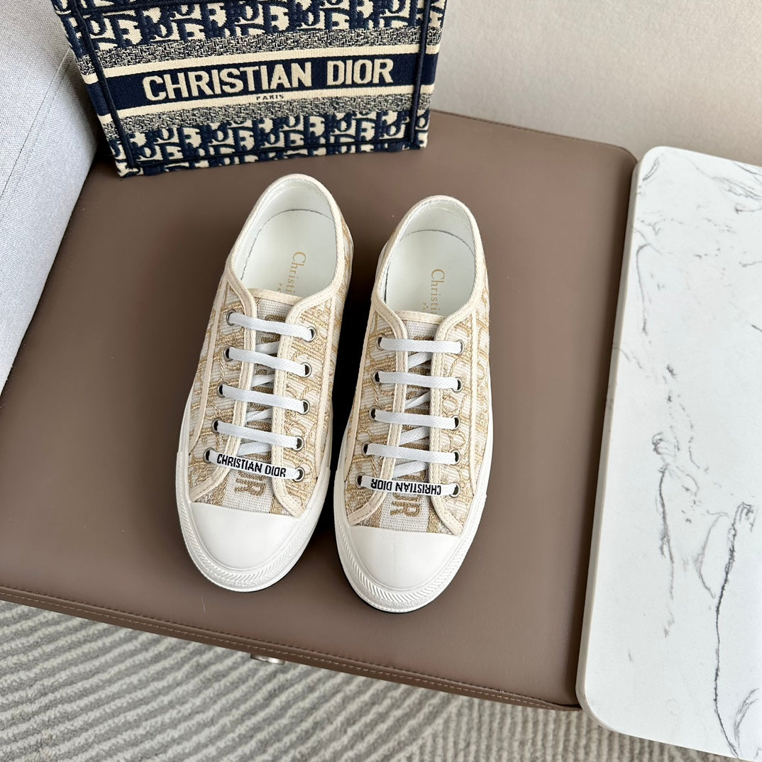 DIOR-002shoes