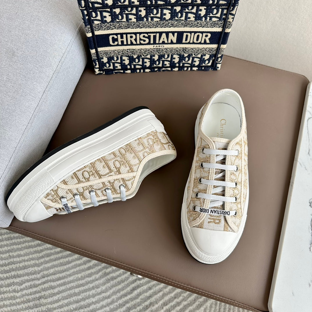 DIOR-002shoes