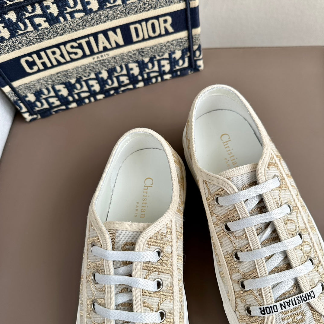 DIOR-002shoes