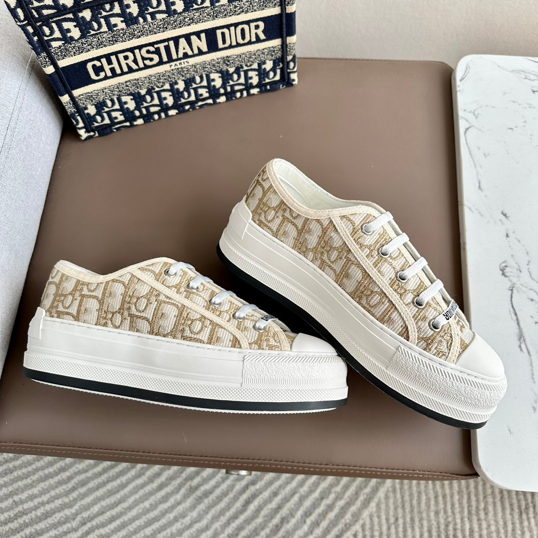 DIOR-002shoes