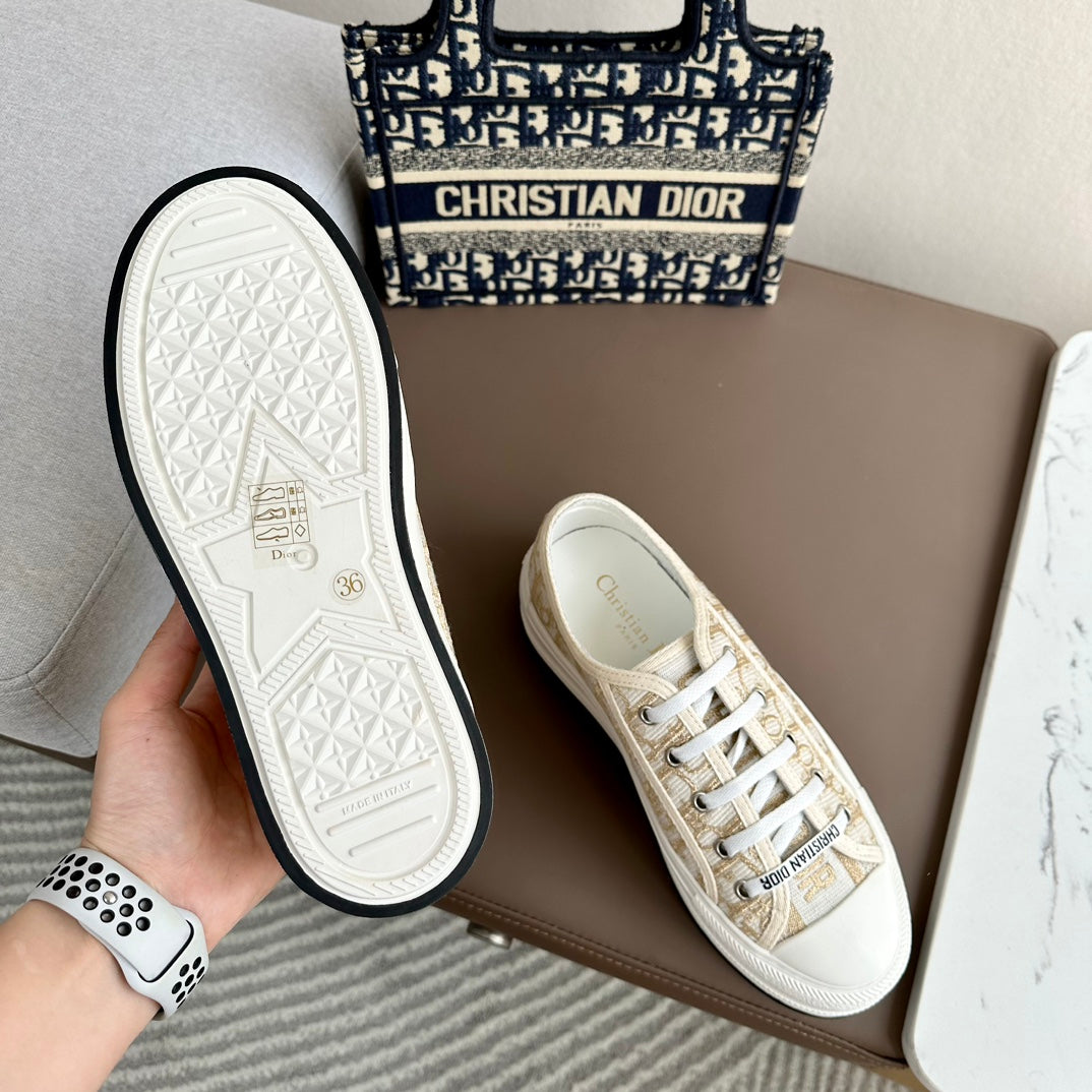 DIOR-002shoes