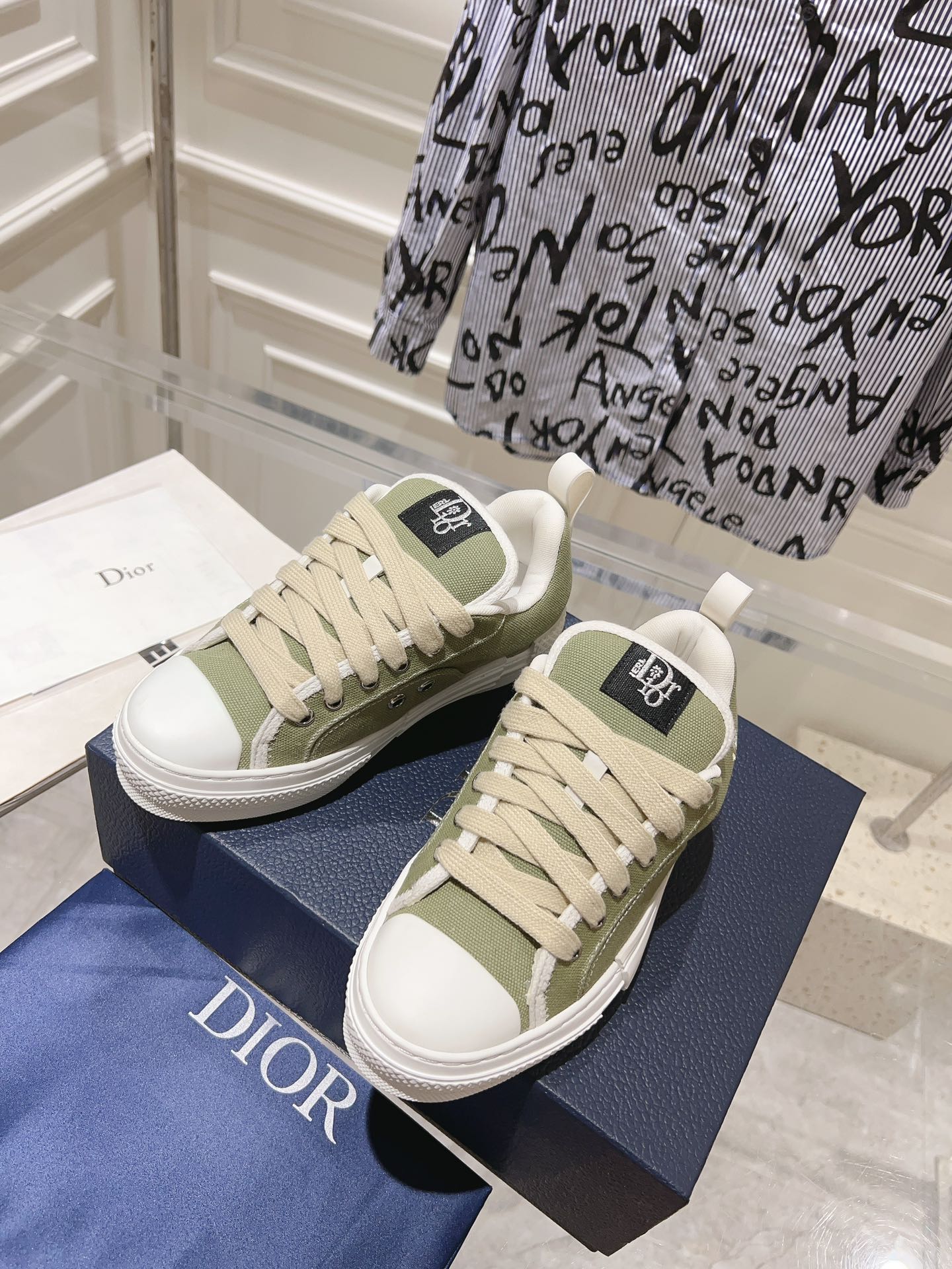DIOR-009shoes