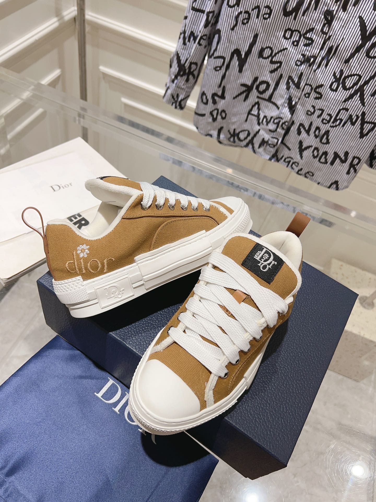 DIOR-010shoes