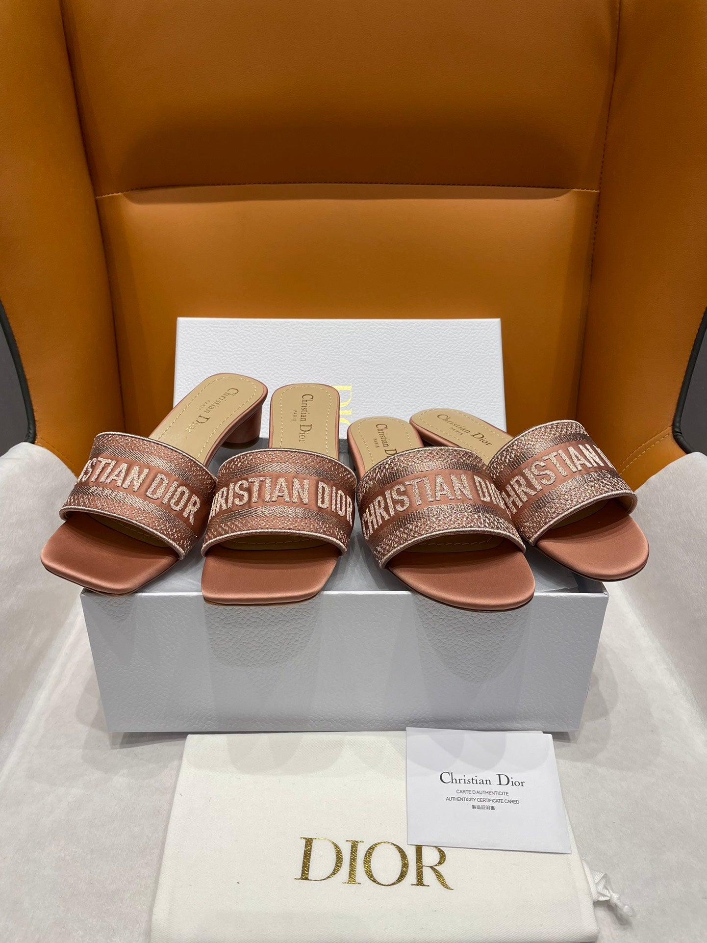 DIOR-069shoes