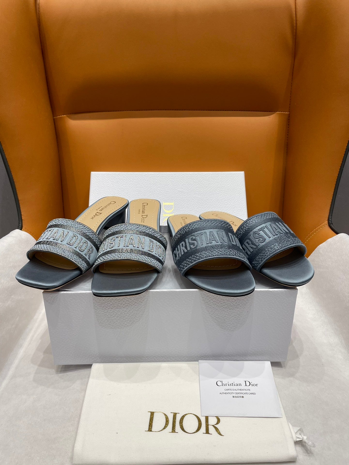 DIOR-070shoes