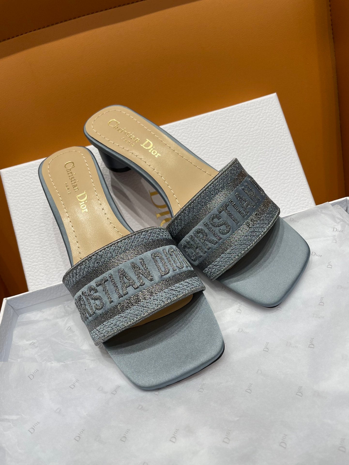DIOR-070shoes