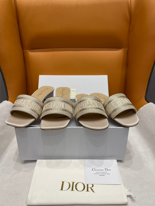 DIOR-071shoes