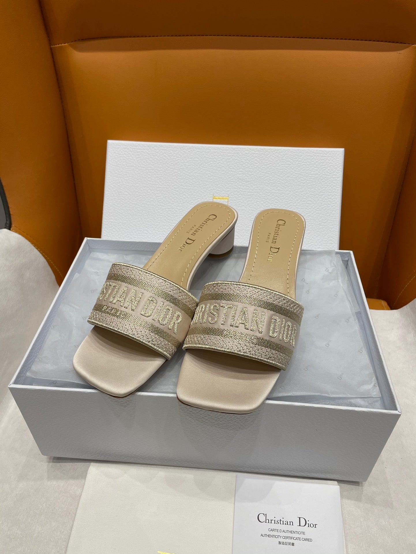 DIOR-071shoes