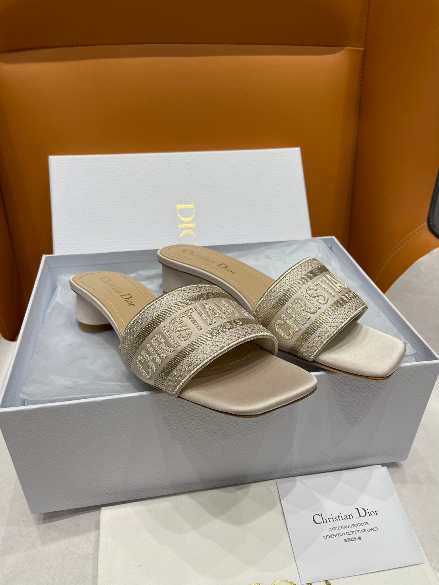 DIOR-071shoes