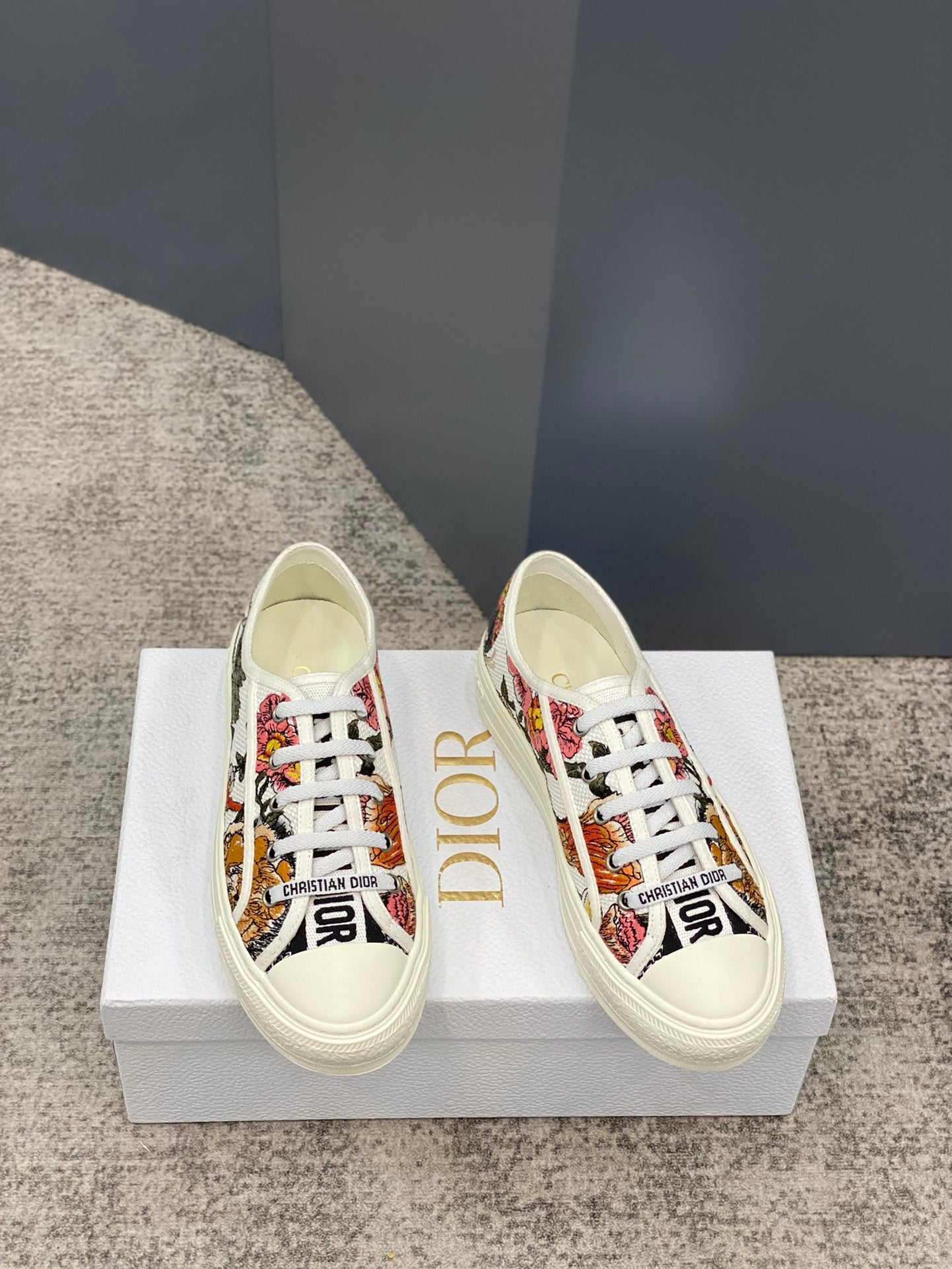 DIOR-087shoes