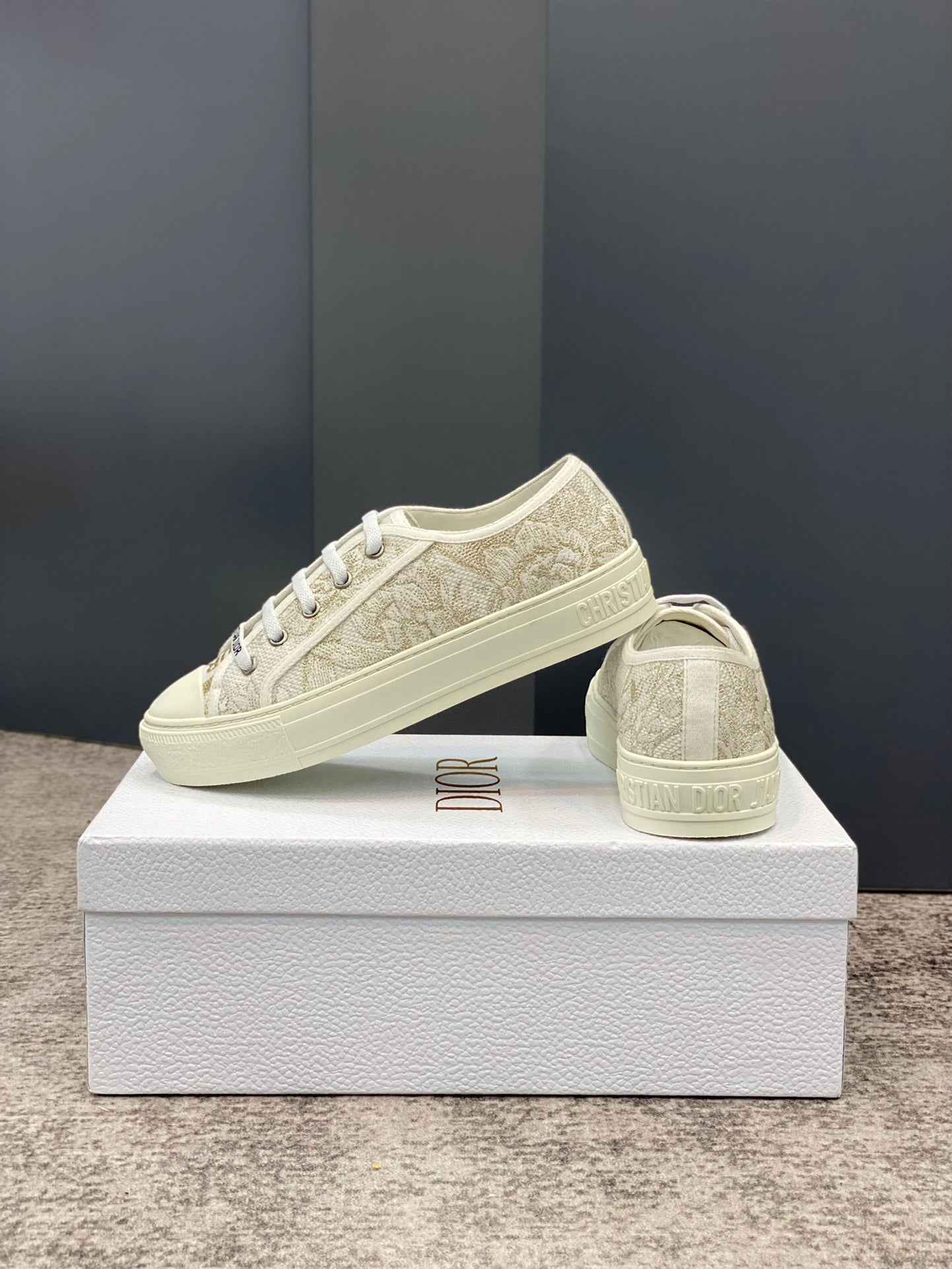 DIOR-088shoes