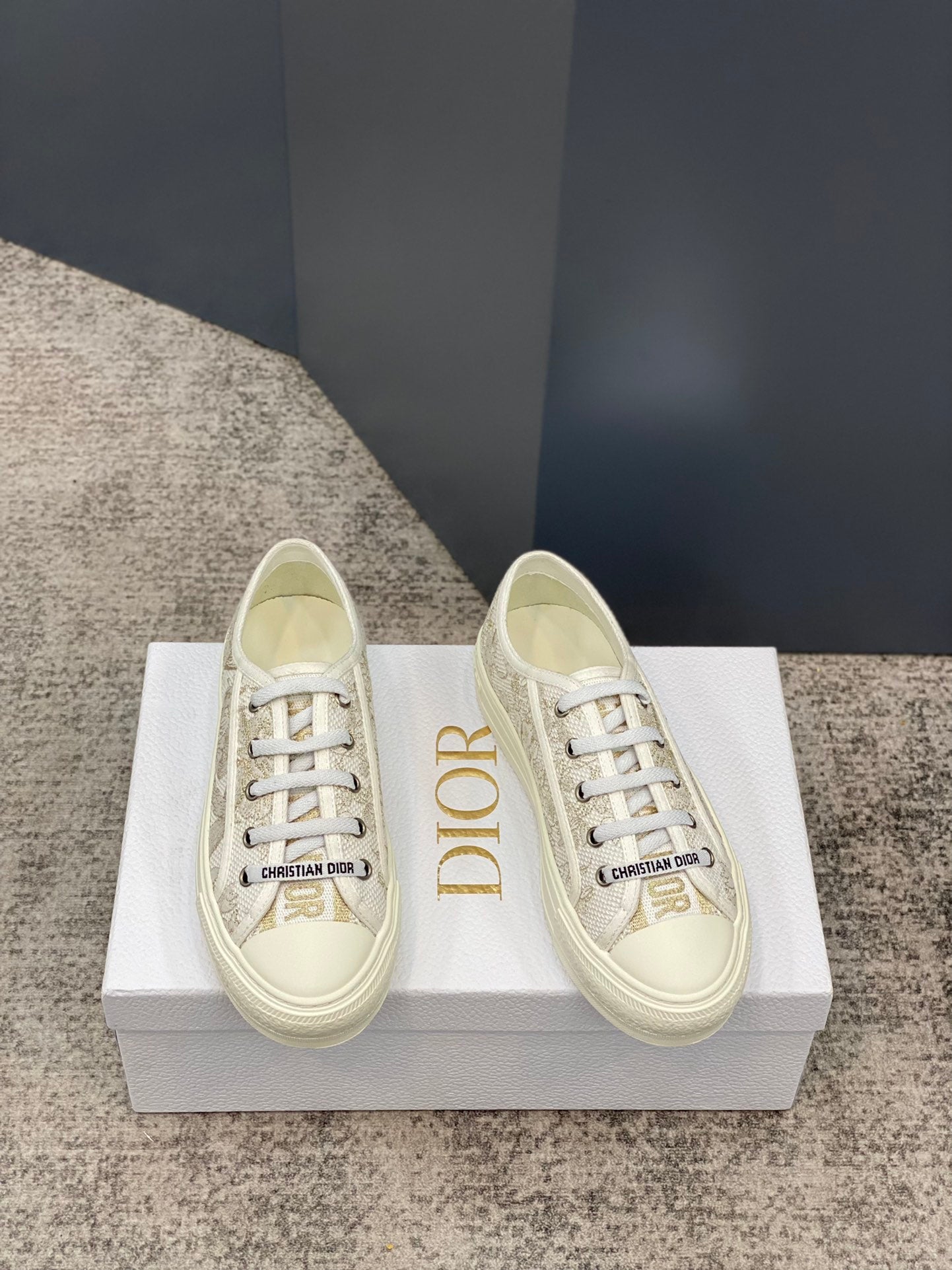 DIOR-089shoes