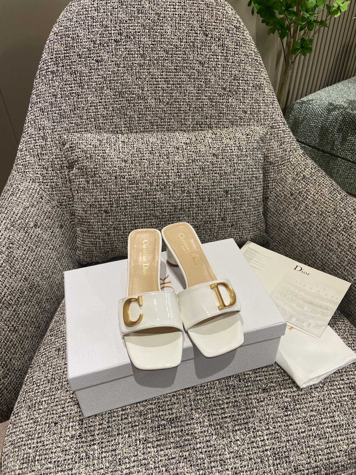 DIOR-089shoes
