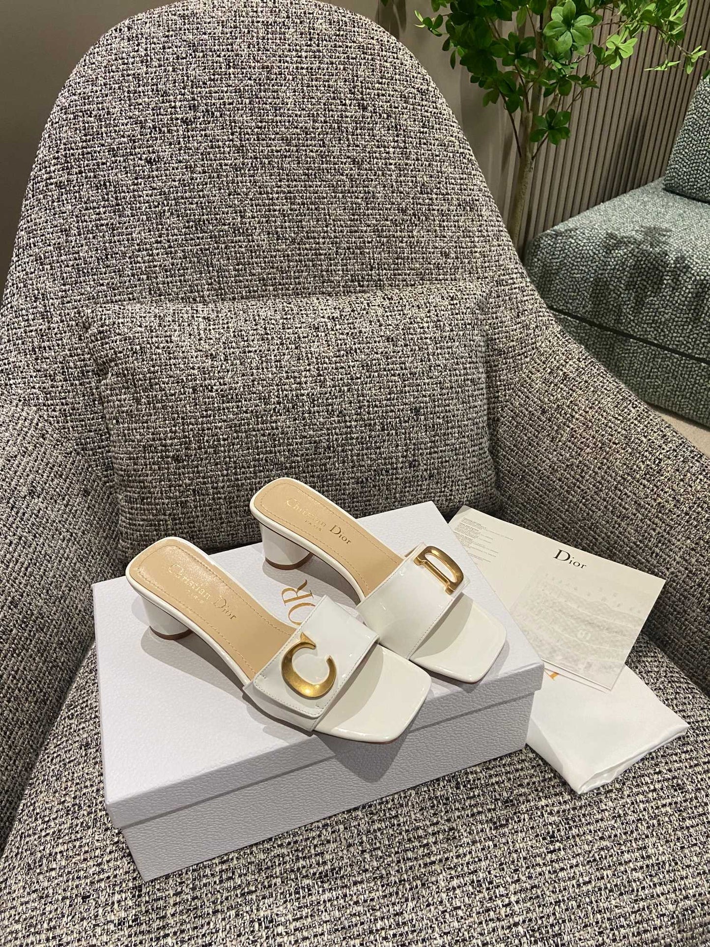 DIOR-089shoes