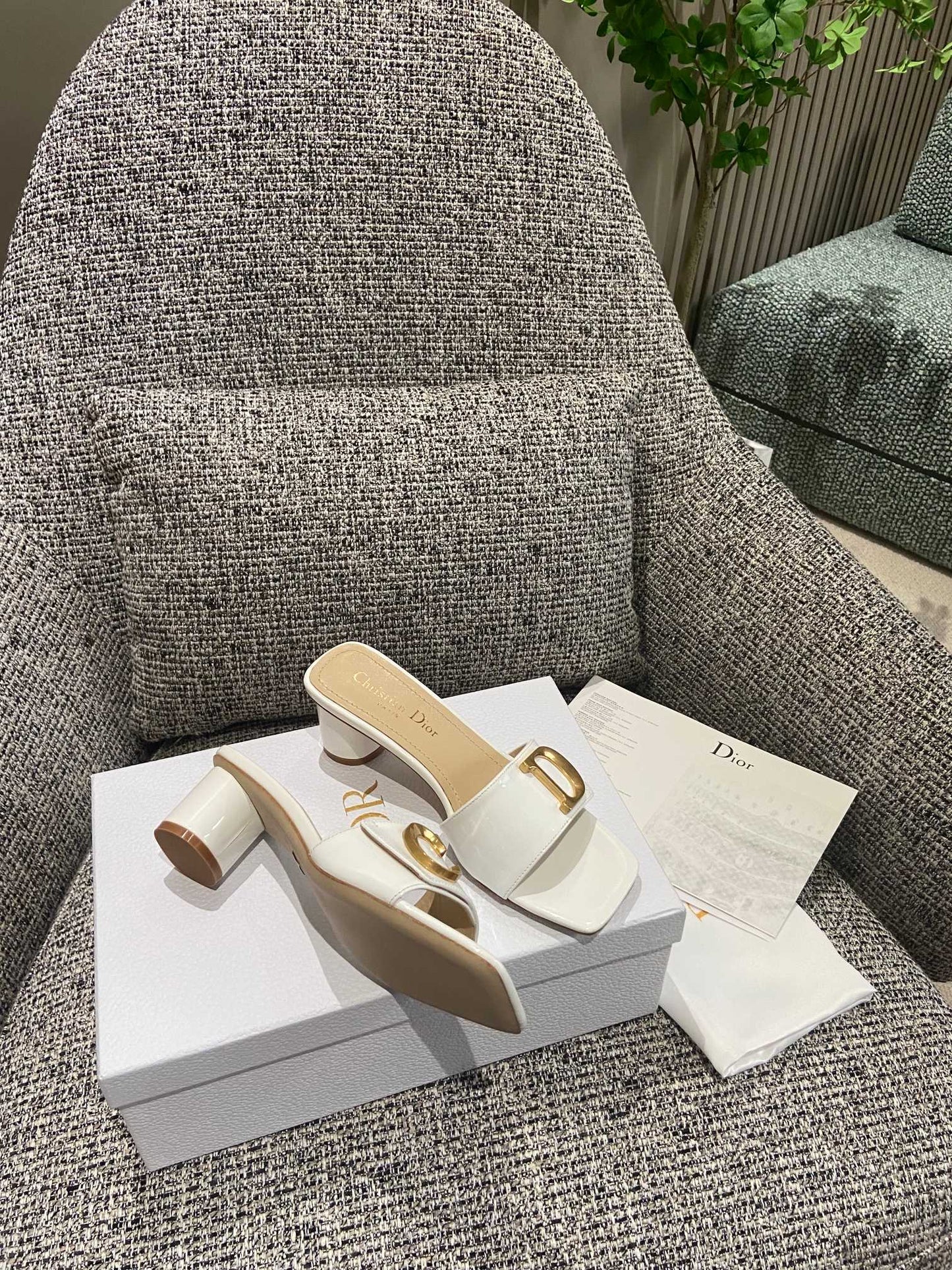 DIOR-089shoes