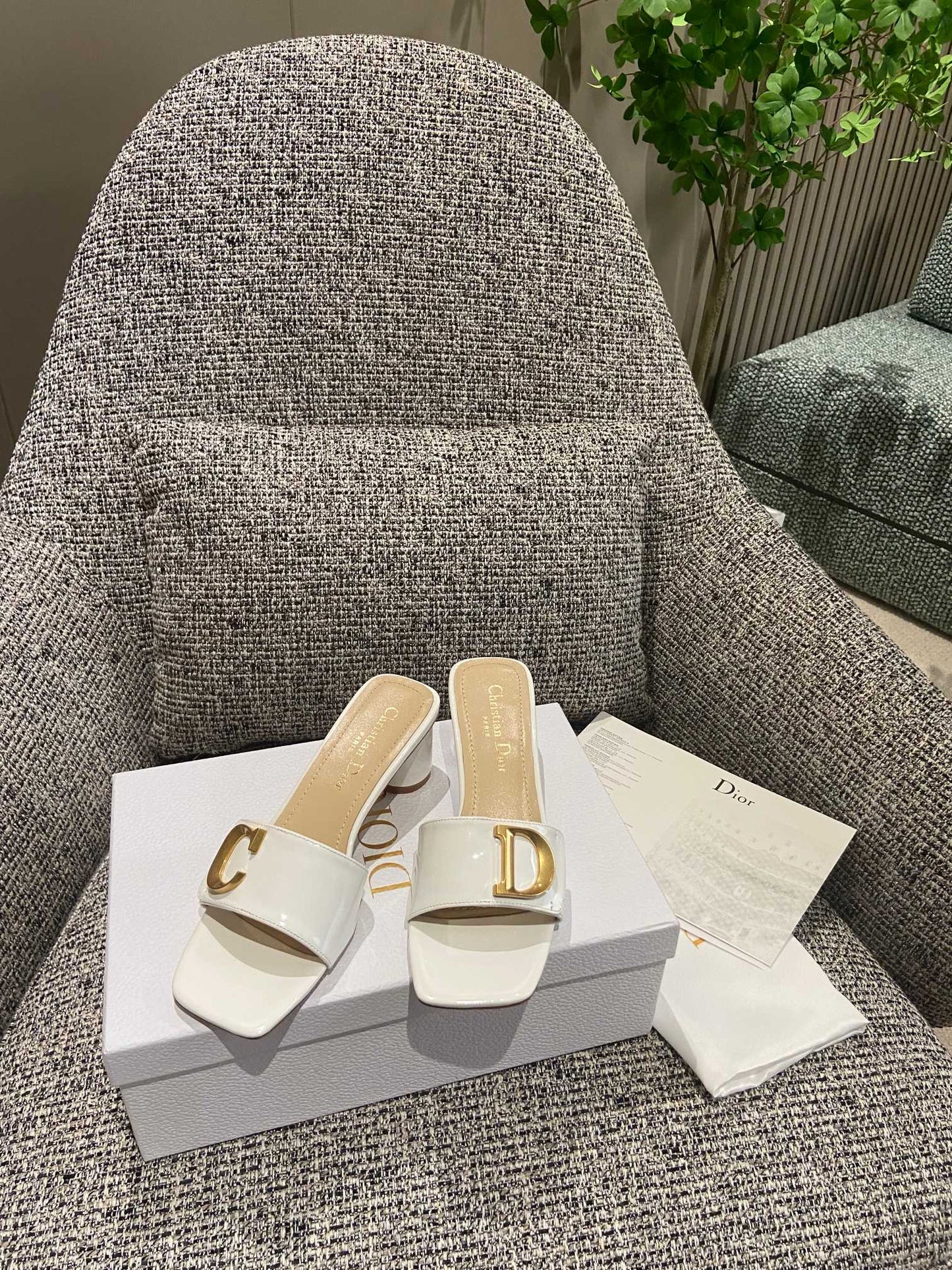 DIOR-089shoes